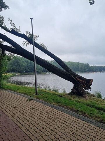 Skutki nawałnic 12.07.2024 w Tychach Skutki nawałnic 12.07.2024 w Tychach